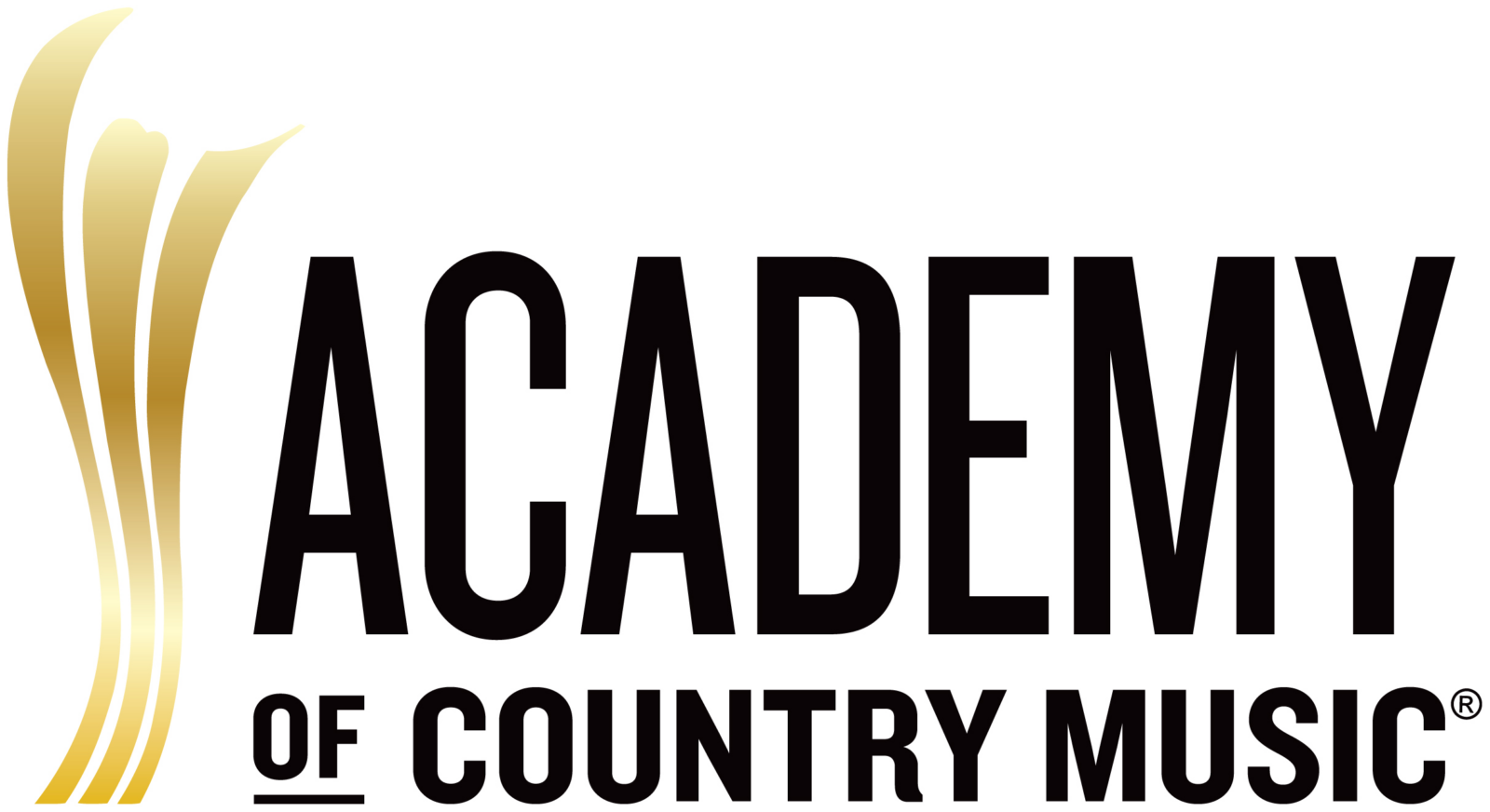 ACM Logo